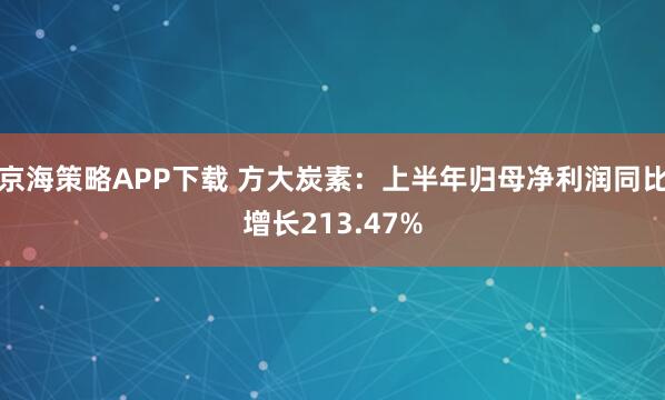京海策略APP下载 方大炭素：上半年归母净利润同比增长213.47%