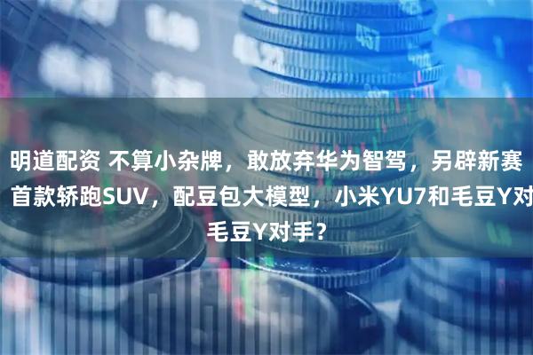 明道配资 不算小杂牌，敢放弃华为智驾，另辟新赛道，首款轿跑SUV，配豆包大模型，小米YU7和毛豆Y对手？